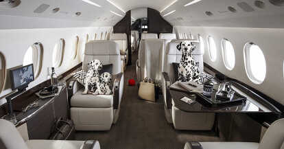 Conseils pour voyager avec vos animaux de compagnie en jet privé